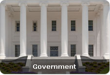 government